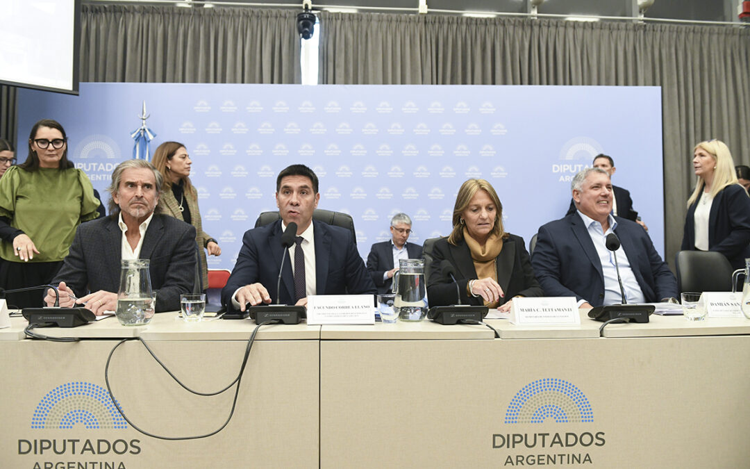 BUENOS AIRES: DIPUTADOS ADHIRIÓ A LA LEY NACIONAL DE DIAGNÓSTICO HUMANIZADO