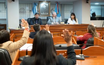 Catamarca: el Senado avanzó con iniciativas de protección de derechos y obras de infraestructura