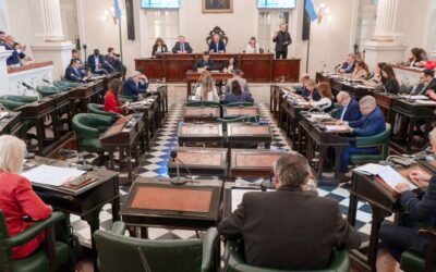 Chaco: Con modificaciones volvió al Senado la modernización del Régimen de Inversiones