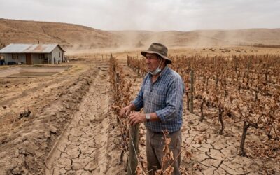 Río Negro: impulsan una comisión permanente sobre cambio climático