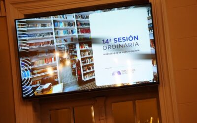 Corrientes: Media Sanción para la Ley de concientización y capacitación en Epilepsia