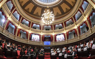 El Senado bonaerense aprobó la Ley Ema para prevenir la violencia digital en las escuelas